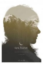 Watch Sea Horse Vumoo