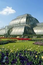 Watch Cruickshank on Kew: The Garden That Changed the World Vumoo