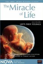 Watch The Miracle of Life Vumoo