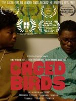 Watch Caged Birds Vumoo