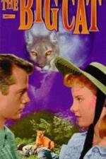 Watch The Big Cat Vumoo