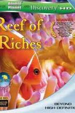 Watch Equator Reefs of Riches Vumoo