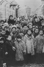 Watch AUSCHWITZ: LIBERATION AND REVENGE Vumoo