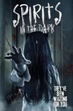 Watch Spirits in the Dark Vumoo