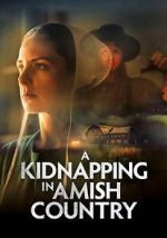 Watch A Kidnapping in Amish Country Vumoo