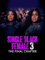 Watch Single Black Female 3: The Final Chapter Vumoo