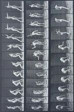 Watch Woman Throwing Baseball Vumoo