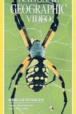 Watch National Geographic's Webs of Intrigue Vumoo