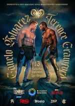 Watch Canelo Álvarez vs. Terence Crawford (TV Special 2025) Vumoo