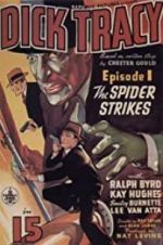 Watch Dick Tracy Vumoo
