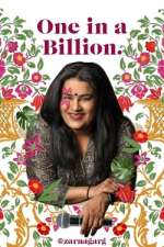 Watch Zarna Garg: One in a Billion Vumoo