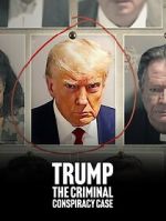 Watch Trump: The Criminal Conspiracy Case Vumoo