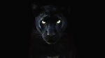 Watch The Real Black Panther (Short 2020) Vumoo