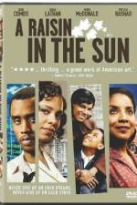 Watch A Raisin in the Sun Vumoo