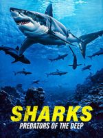 Watch Sharks: Predators of the Deep Vumoo