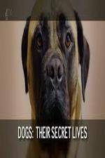 Watch Dogs: Their Secret Lives Vumoo