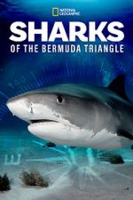 Watch Sharks of the Bermuda Triangle (TV Special 2020) Vumoo