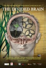 Watch The Divided Brain Vumoo