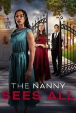 Watch The Nanny Sees All Vumoo