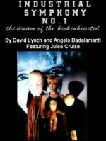 Watch Industrial Symphony No. 1: The Dream of the Brokenhearted Vumoo