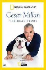 Watch Cesar Millan: The Real Story Vumoo