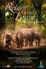 Watch Return to the Forest Vumoo