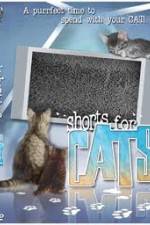 Watch Shorts for Cats Vumoo