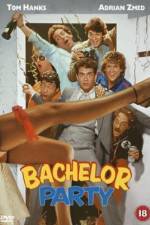 Watch Bachelor Party Vumoo
