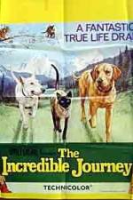 Watch The Incredible Journey Vumoo
