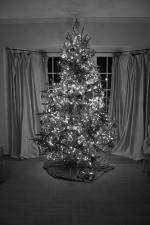 Watch The Christmas Miracle Vumoo