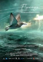Watch Flyways: the untold journey of migratory shorebirds Vumoo