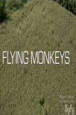 Watch Winged Terror Vumoo