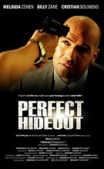 Watch Perfect Hideout Vumoo