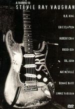 Watch A Tribute to Stevie Ray Vaughan Vumoo