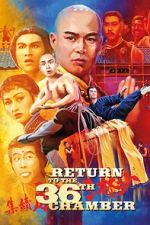 Watch Return to the 36th Chamber Vumoo