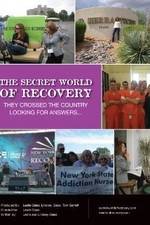 Watch The Secret World of Recovery Vumoo