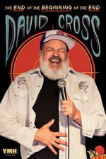 Watch David Cross: The End of the Beginning of the End Vumoo