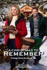 Watch A Christmas to Remember Vumoo
