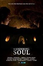 Watch Wandering Soul Vumoo