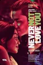 Watch Never Not Love You Vumoo