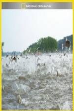 Watch National Geographic Hooked Carp Invasion Vumoo