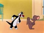 Watch Who\'s Kitten Who? (Short 1952) Vumoo