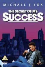 Watch The Secret of My Succe$s Vumoo