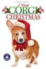 Watch A Very Corgi Christmas Vumoo