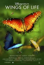 Watch Disneynature: Wings of Life Vumoo