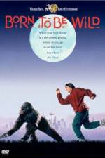 Watch Born to Be Wild Vumoo