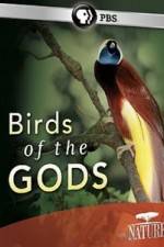 Watch Birds Of The Gods Vumoo