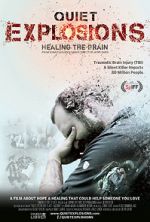Watch Quiet Explosions: Healing the Brain Vumoo