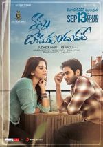 Watch Nannu Dochukunduvate Vumoo