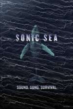Watch Sonic Sea Vumoo